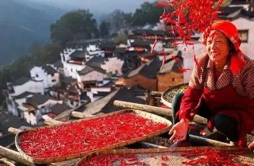 今日农村爆料大全最新,今日农村爆料大全深度解析  第1张