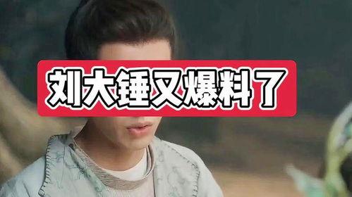 刘大锤今天爆料视频,揭秘今日热点事件内幕 第2张 刘大锤今天爆料视频,揭秘今日热点事件内幕 第2张